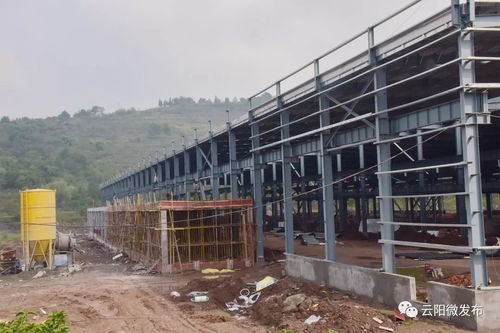 建房子還能像搭積木一樣,拼好就行 不信你來看云陽這個(gè)產(chǎn)業(yè)園